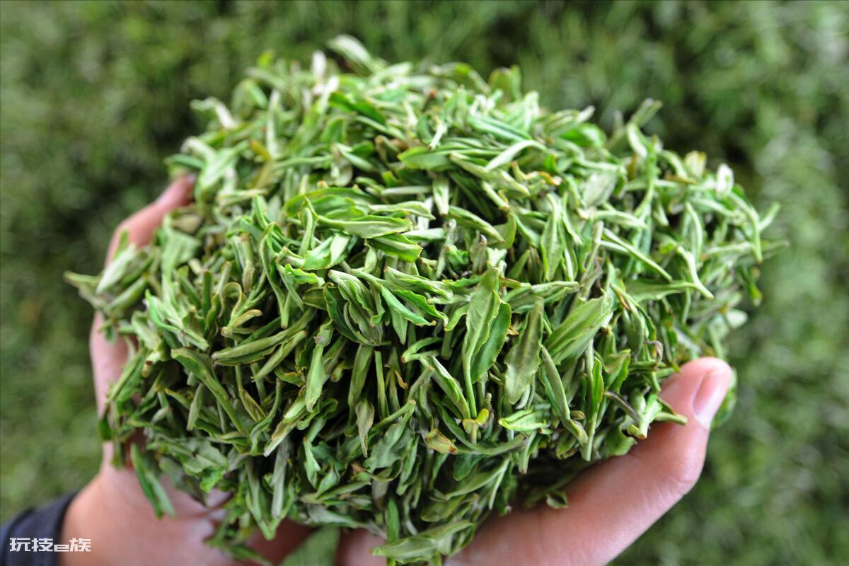 中国茶叶十大排名顺序(茶叶排行榜前10名都是什么茶)-图片5