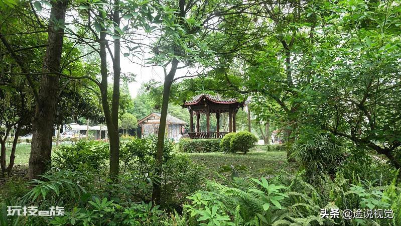 成都旅游景点排名前十名(到四川成都旅游不能错过的景区)-图片10