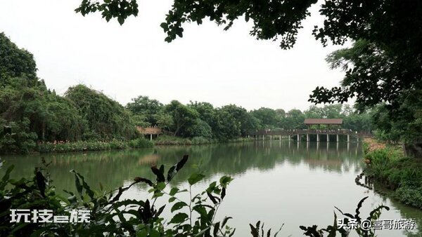 深圳景点排行榜前十名是什么地方（深圳十大景点自驾游攻略）-图片7