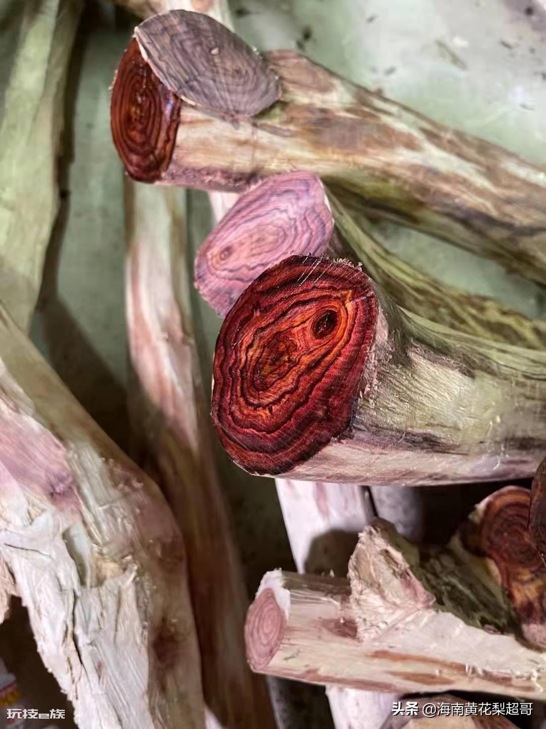 海黄糠梨和油梨哪个好(海南黄花油梨和糠梨的区别)-图片1
