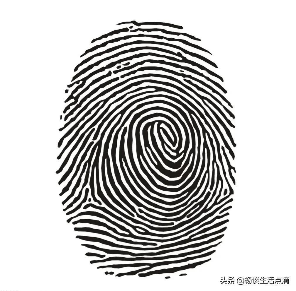 一螺到十螺的顺口溜(双手指纹上的螺代表什么意思)-图片2