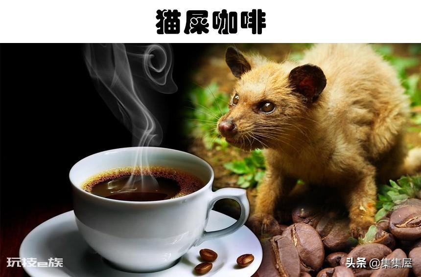 全球最贵的饮料(世界上真实存在的5大非常昂贵的饮料)-图片1