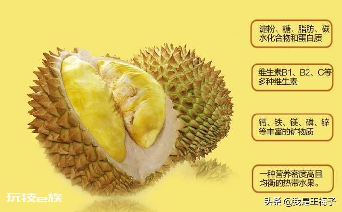 榴莲怎么选才是最好的皮薄肉多(挑选饱满榴莲简单方法)-图片2