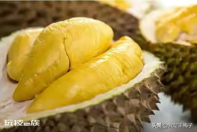 榴莲怎么选才是最好的皮薄肉多(挑选饱满榴莲简单方法)-图片3