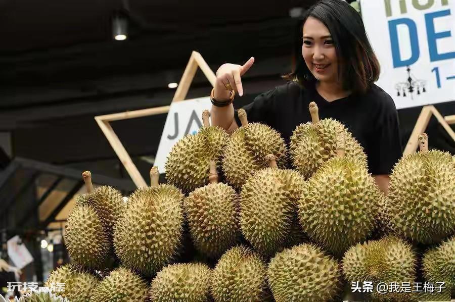 榴莲怎么选才是最好的皮薄肉多(挑选饱满榴莲简单方法)-图片4