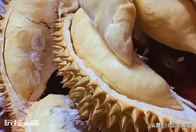榴莲怎么选才是最好的皮薄肉多(挑选饱满榴莲简单方法)-图片5