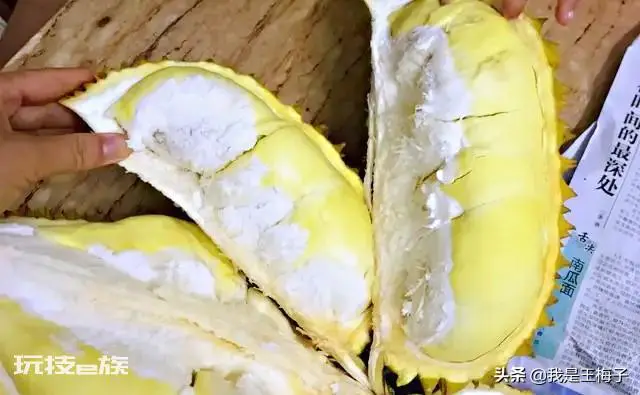 榴莲怎么选才是最好的皮薄肉多(挑选饱满榴莲简单方法)-图片6