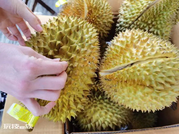 教你6个诀窍挑出最好的榴莲肉(三大实用技巧榴莲控必看)-图片3
