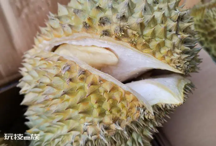 教你6个诀窍挑出最好的榴莲肉(三大实用技巧榴莲控必看)-图片5