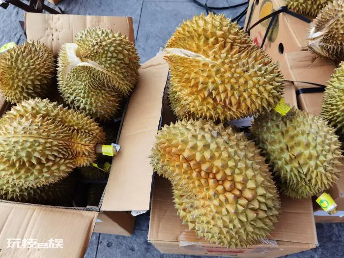 教你6个诀窍挑出最好的榴莲肉(三大实用技巧榴莲控必看)-图片7