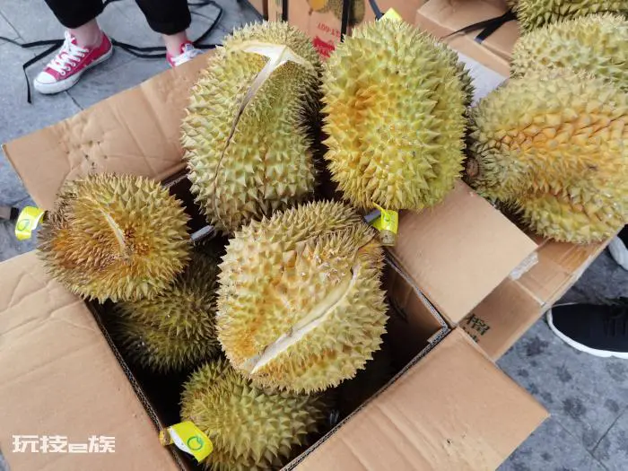 教你6个诀窍挑出最好的榴莲肉(三大实用技巧榴莲控必看)-图片8