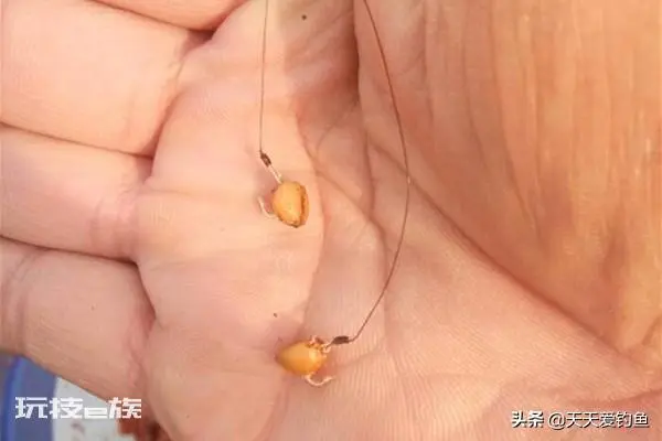 小鱼闹窝的最有效的方法(野钓中小鱼闹窝解决妙招)-图片4