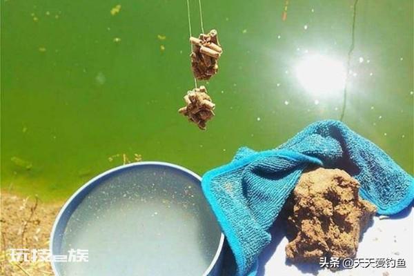小鱼闹窝的最有效的方法(野钓中小鱼闹窝解决妙招)-图片6
