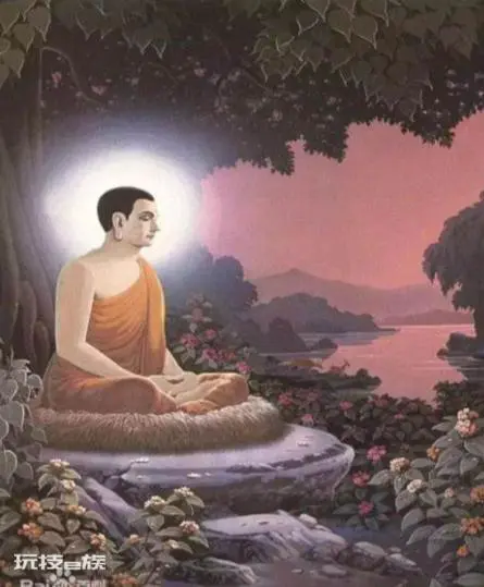 菩提是什么材料做成的(菩提子就是菩提树的果实吗)-图片2