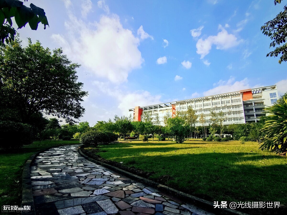 西南政法大学有多可怕(西南政法大学的院校实力有多强)-图片13