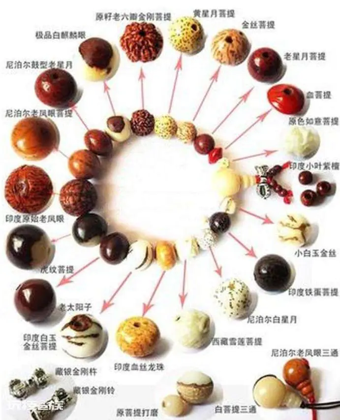 菩提是什么材料做成的(菩提子就是菩提树的果实吗)-图片8