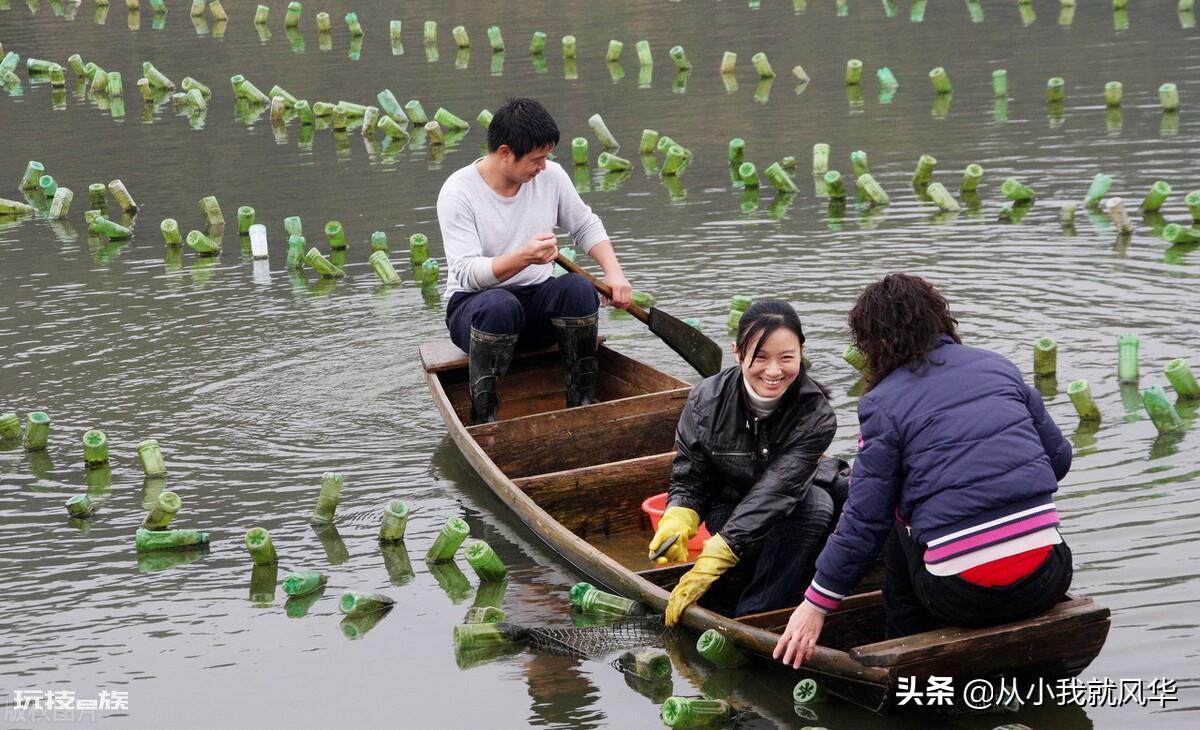养殖珍珠的形成过程（人工养殖珍珠的过程分为几个阶段）-图片4