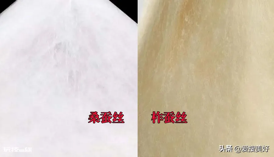 柞蚕丝和桑蚕丝做被哪个比较好一点(如何分清桑蚕和柞蚕)-图片7