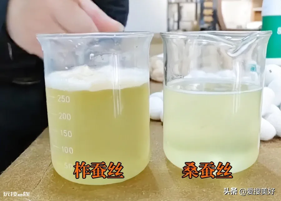 柞蚕丝和桑蚕丝做被哪个比较好一点(如何分清桑蚕和柞蚕)-图片8