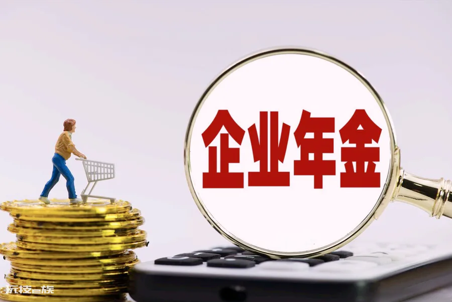 在手机上如何查个人企业年金(企业年金是什么意思)-图片2