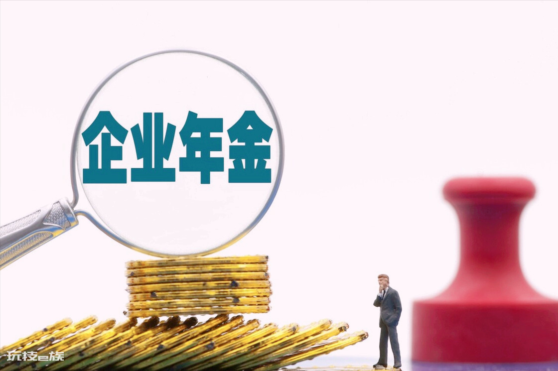 在手机上如何查个人企业年金(企业年金是什么意思)-图片4