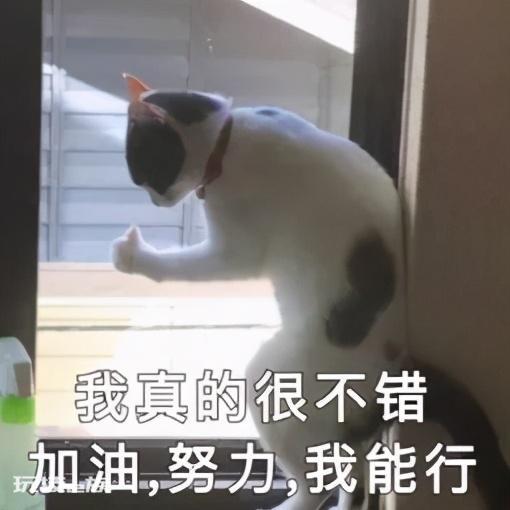 1号入职15号会发工资吗(企业的发薪日一般在哪几天)-图片3