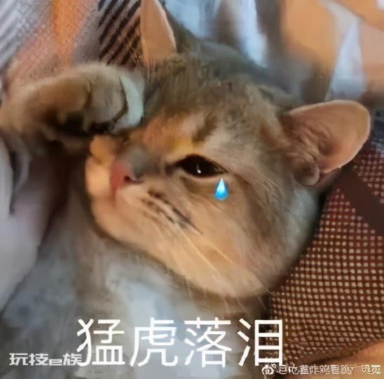 1号入职15号会发工资吗(企业的发薪日一般在哪几天)-图片8
