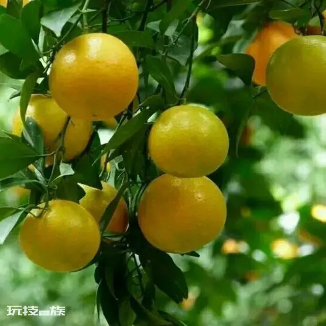 德庆县属于哪个城市(德庆县是广东人口最少的山区城市)-图片8