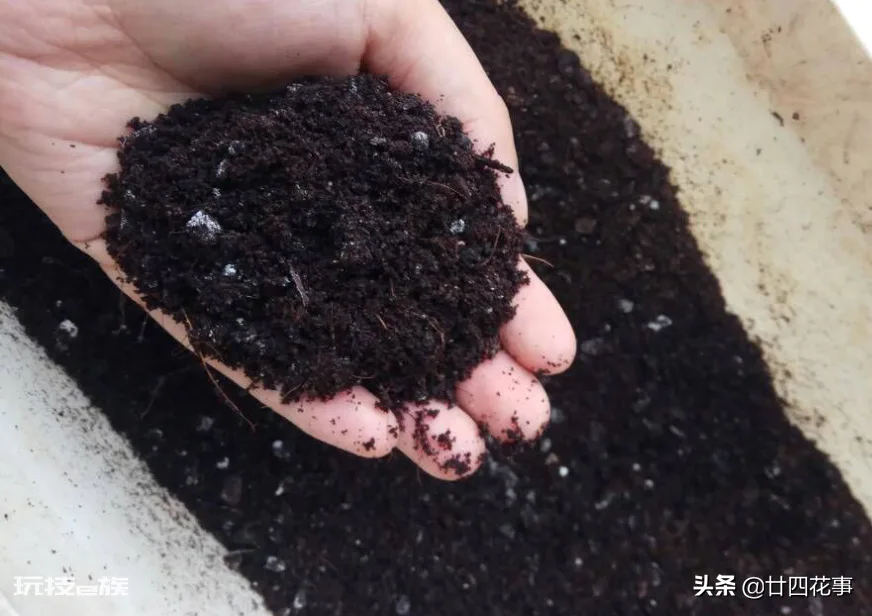 家庭养花自制花肥29种方法(自制花肥料又好又不臭方法)-图片3