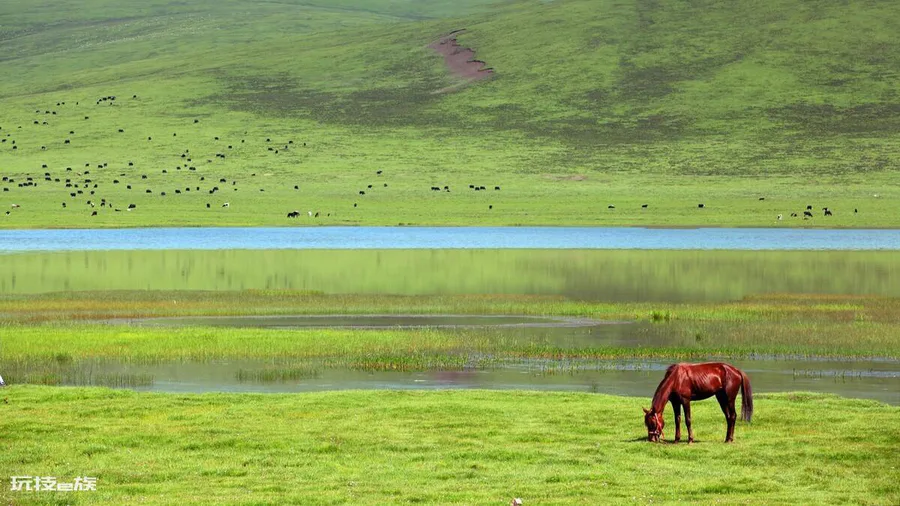 国内旅游必去的十大地方排名(中国最值得去的旅游景点)-图片5