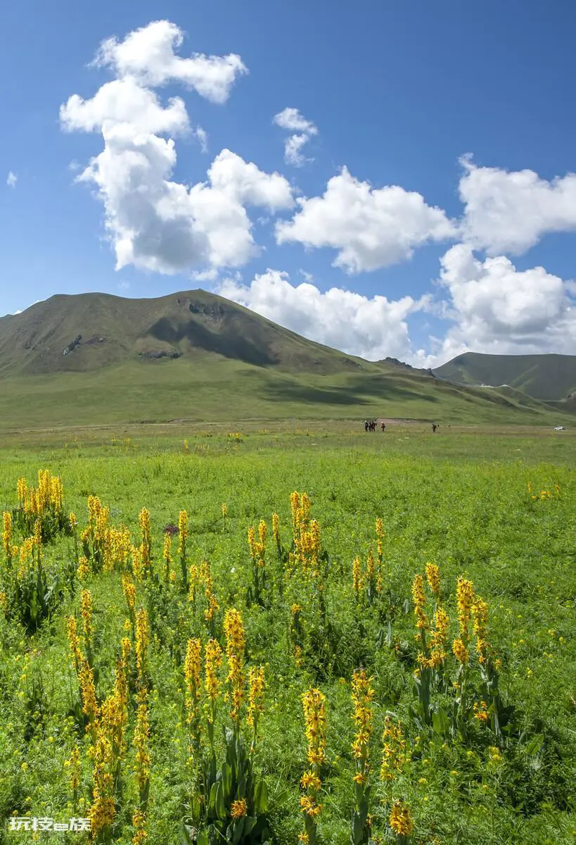 国内旅游必去的十大地方排名(中国最值得去的旅游景点)-图片9