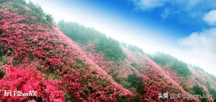武汉有哪些旅游景点值得游玩(武汉最值得去的几个地方推荐)-图片29