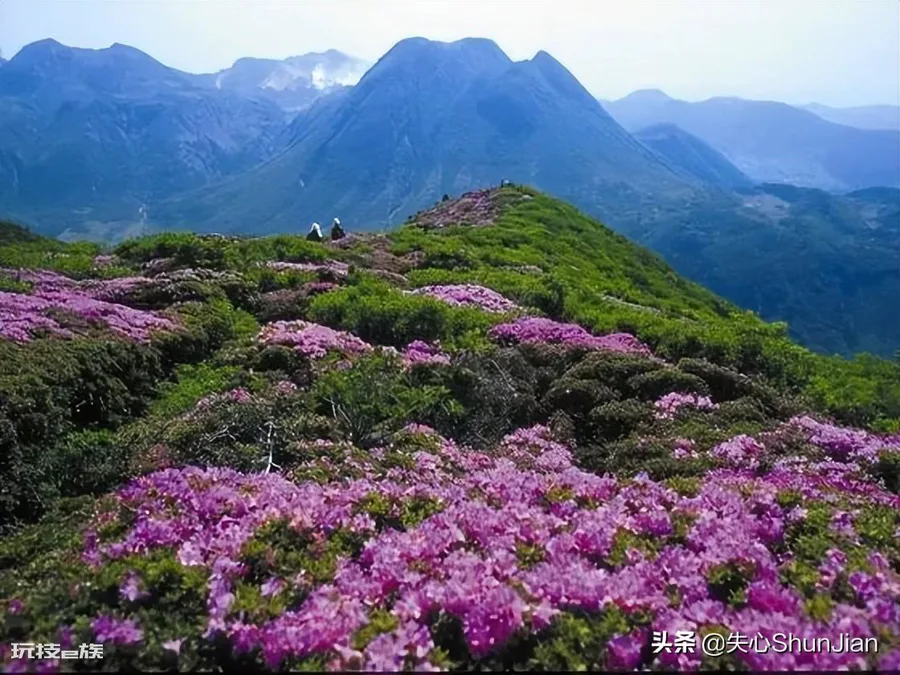 武汉有哪些旅游景点值得游玩(武汉最值得去的几个地方推荐)-图片30