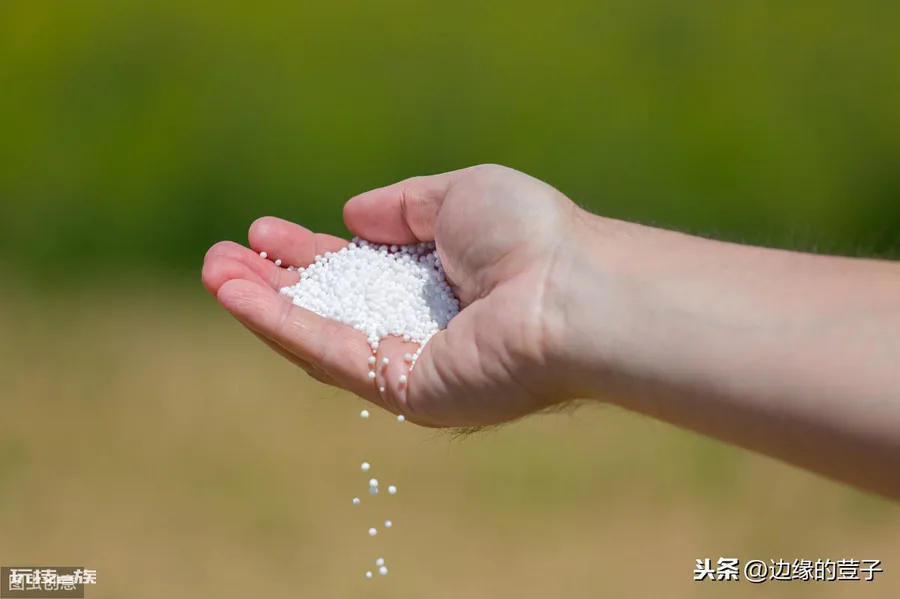 磷酸二氢钾加尿素的使用方法(注意这些要点科学施肥效果高)-图片4