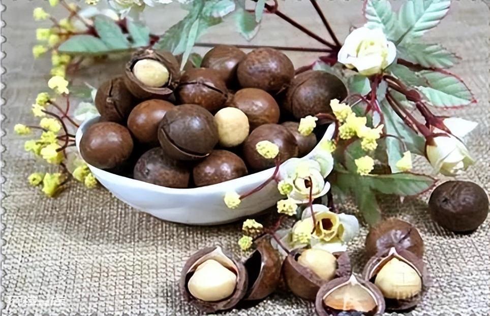现在农村种什么植物最赚钱又好卖出去-图片3