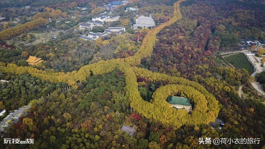 适合孩子旅游的地方推荐(国内亲子游必去的5座城市)-图片7