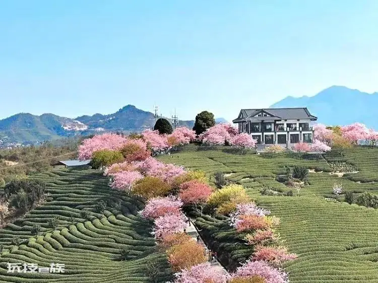 福建龙岩旅游必去十大景点推荐(龙岩哪里好玩的地方)-图片3