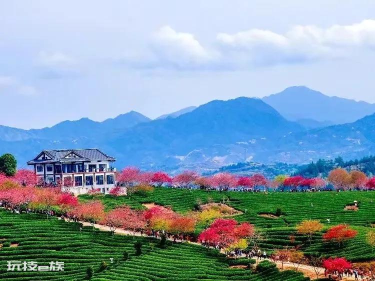 福建龙岩旅游必去十大景点推荐(龙岩哪里好玩的地方)-图片8