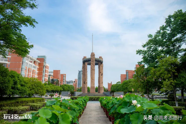 信息安全专业大学排名(信息安全专业的院校排行情况)-图片3