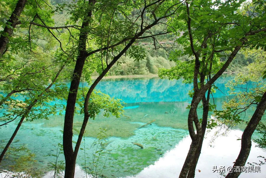 四川风景区旅游景点排行榜前十名(四川值得一去10个地方)-图片12