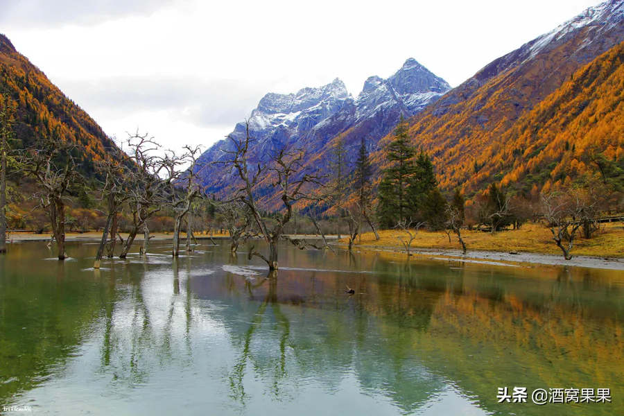 四川风景区旅游景点排行榜前十名(四川值得一去10个地方)-图片20