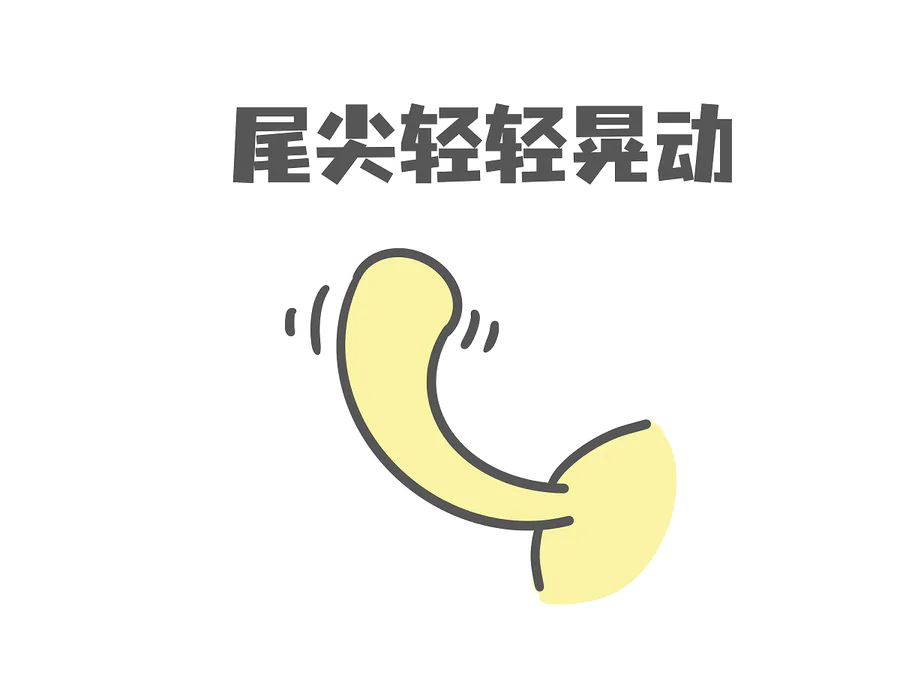 猫尾巴尖轻轻晃动代表什么意思(猫咪尾巴尖轻微晃动的含义)-图片5