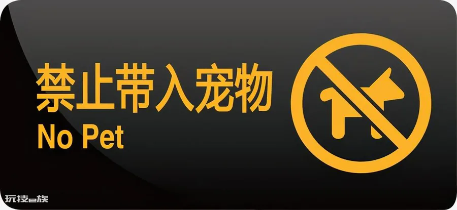 导盲犬一般是什么品种(常见的导盲犬适用品种名称及图片)-图片5