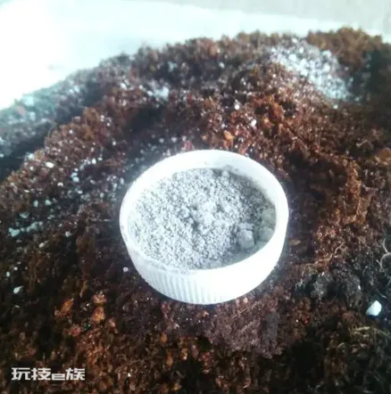 多菌灵的使用方法及用量(教你4种多菌灵的正确使用方法)-图片2