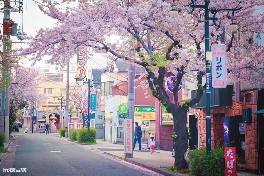 日本男女比例为多少(日本分年龄性别比和年龄中位数统计)-图片1