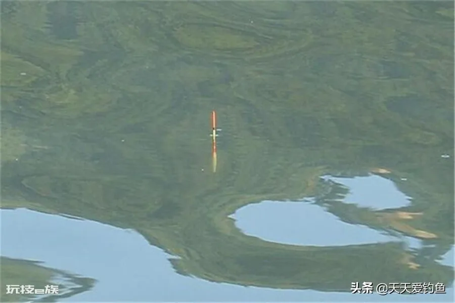 钓鲢鳙调漂操作方法(浮钓鲢鳙如何让漂相更清晰)-图片3