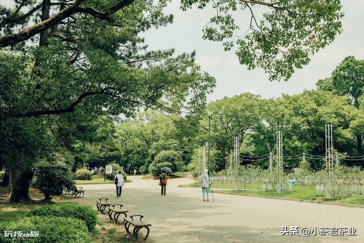 出国留学的优缺点(出国留学的好处和坏处盘点)-图片2