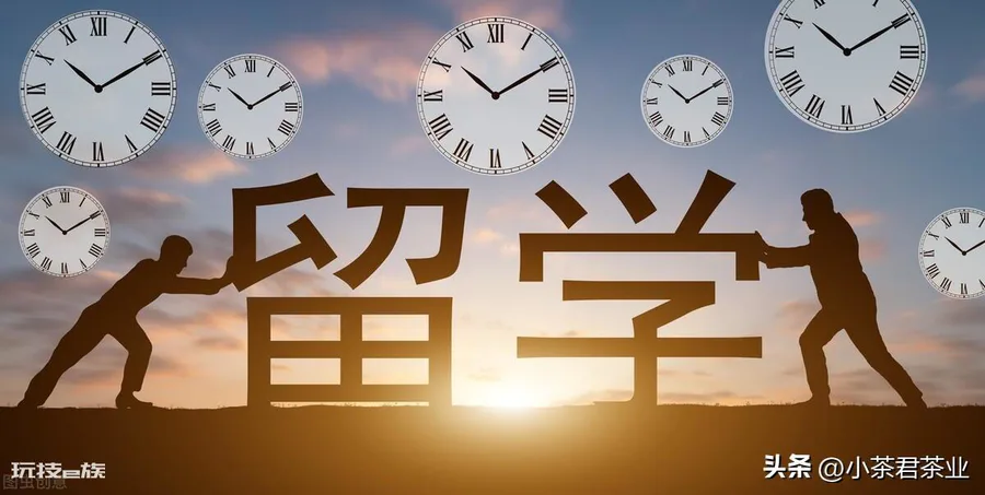 出国留学的优缺点(出国留学的好处和坏处盘点)-图片5