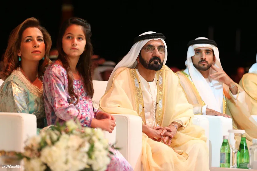 uae是哪个国家简称(阿拉伯联合酋长国位于波斯湾的南边)-图片1