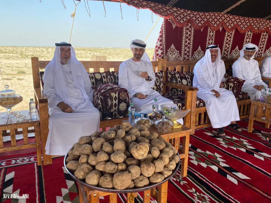 uae是哪个国家简称(阿拉伯联合酋长国位于波斯湾的南边)-图片4